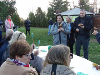 Konkurs grzybów