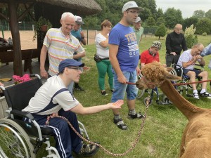 Uczestnicy wycieczki z alpaką