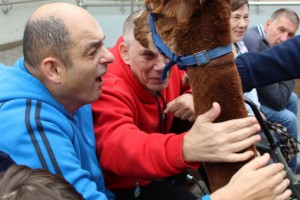 Spotkanie z alpakami