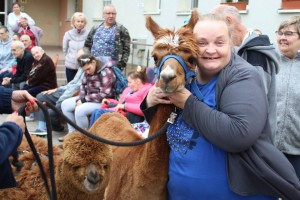 Spotkanie z alpakami