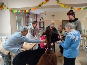 Uczestnicy spotkania z alpakami
