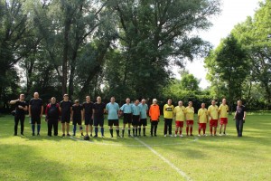 Reprezentacje domów